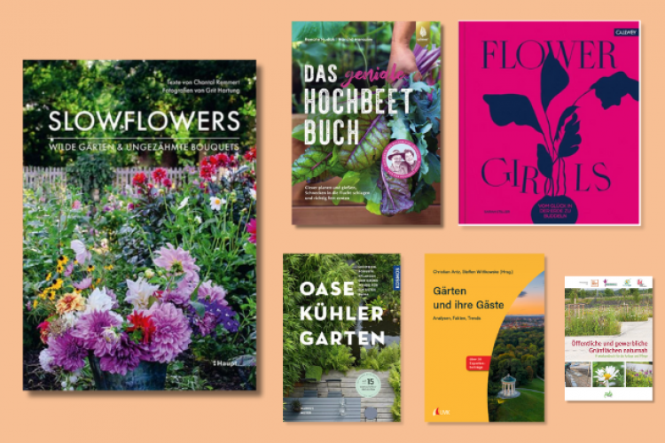 Die Cover der 6 ausgezeichneten Bücher vor Farbfläch