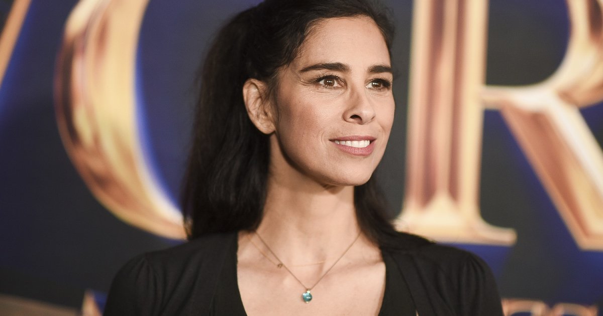 Sarah Silverman Verklagt ChatGPT-Entwickler